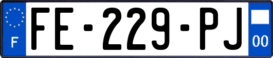 FE-229-PJ