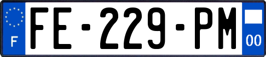 FE-229-PM