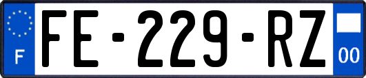 FE-229-RZ