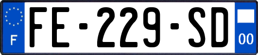 FE-229-SD