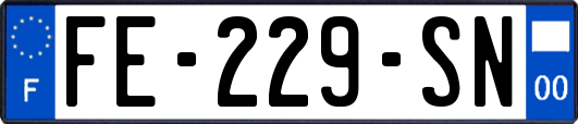 FE-229-SN