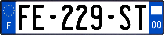 FE-229-ST