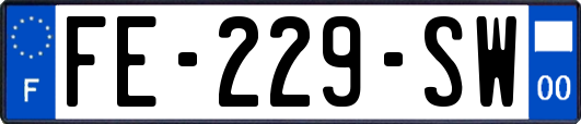 FE-229-SW