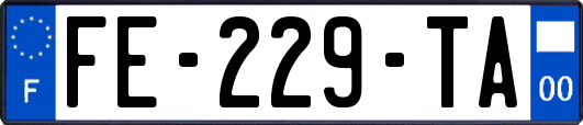 FE-229-TA