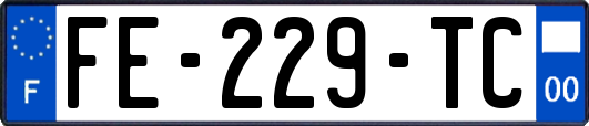 FE-229-TC