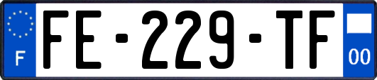 FE-229-TF