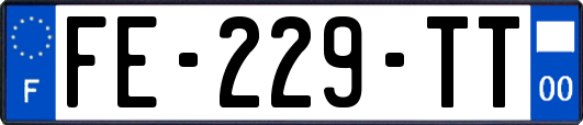 FE-229-TT