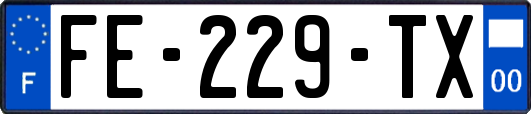 FE-229-TX