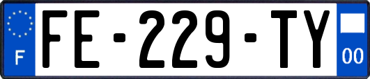 FE-229-TY
