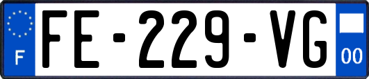 FE-229-VG