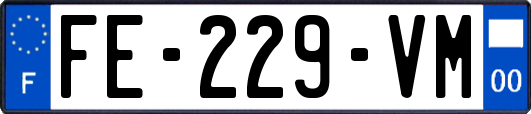 FE-229-VM