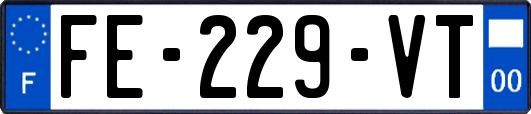 FE-229-VT