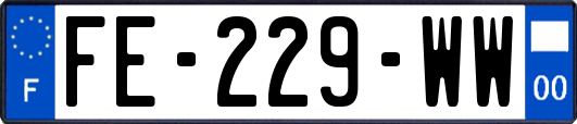 FE-229-WW