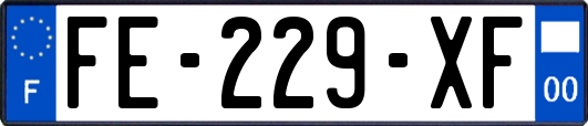 FE-229-XF