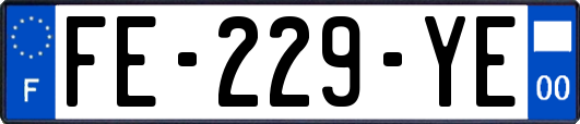 FE-229-YE