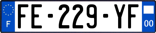 FE-229-YF