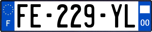 FE-229-YL