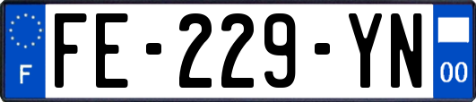 FE-229-YN