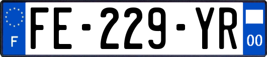 FE-229-YR