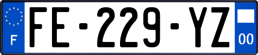 FE-229-YZ