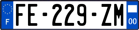 FE-229-ZM