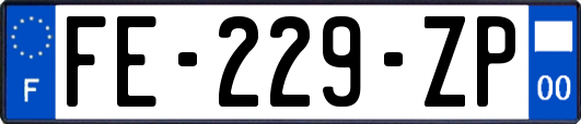 FE-229-ZP