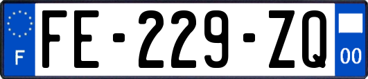 FE-229-ZQ