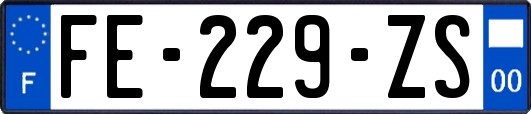 FE-229-ZS