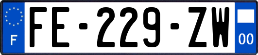 FE-229-ZW