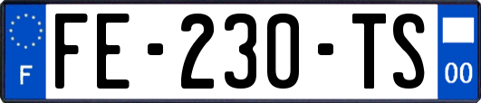 FE-230-TS