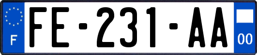 FE-231-AA