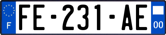 FE-231-AE