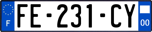FE-231-CY