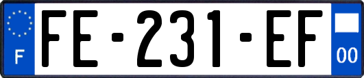 FE-231-EF