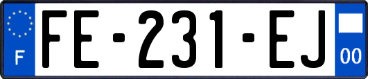 FE-231-EJ