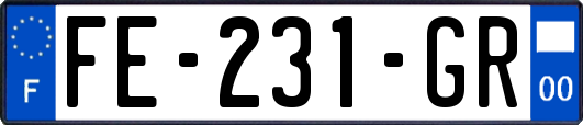 FE-231-GR