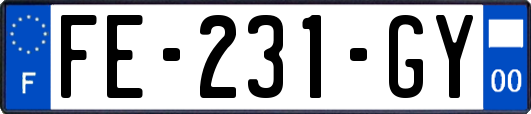 FE-231-GY
