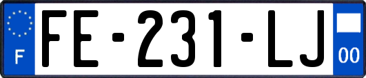 FE-231-LJ