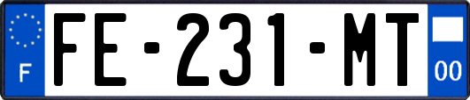 FE-231-MT