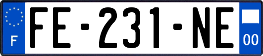 FE-231-NE