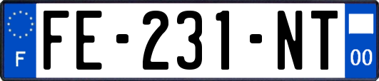 FE-231-NT
