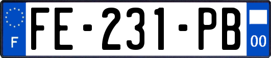 FE-231-PB
