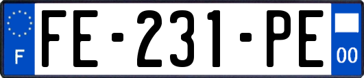 FE-231-PE