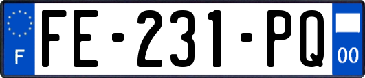 FE-231-PQ