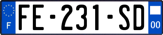 FE-231-SD
