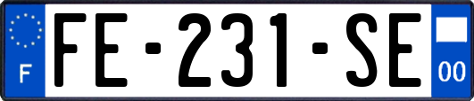 FE-231-SE