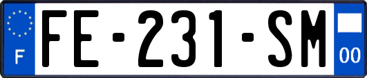 FE-231-SM