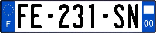FE-231-SN