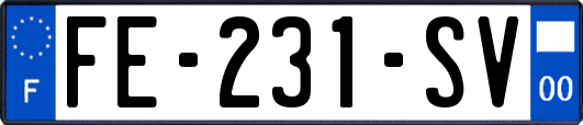 FE-231-SV