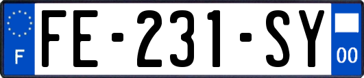 FE-231-SY